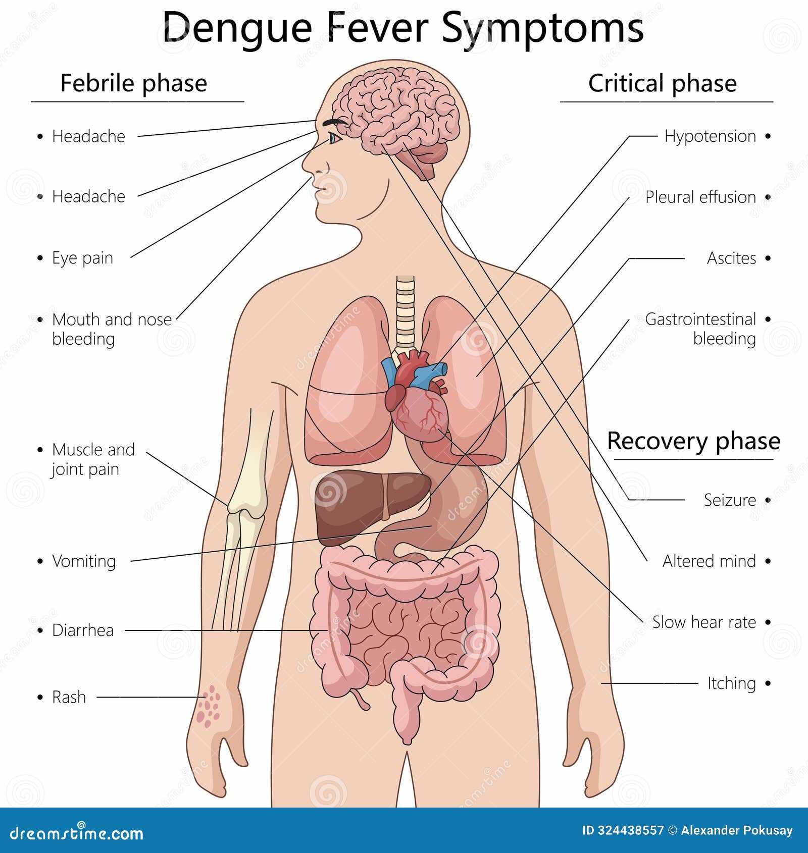 body parts with diagram