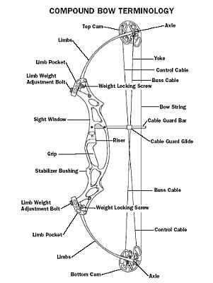 bow and arrow parts diagram