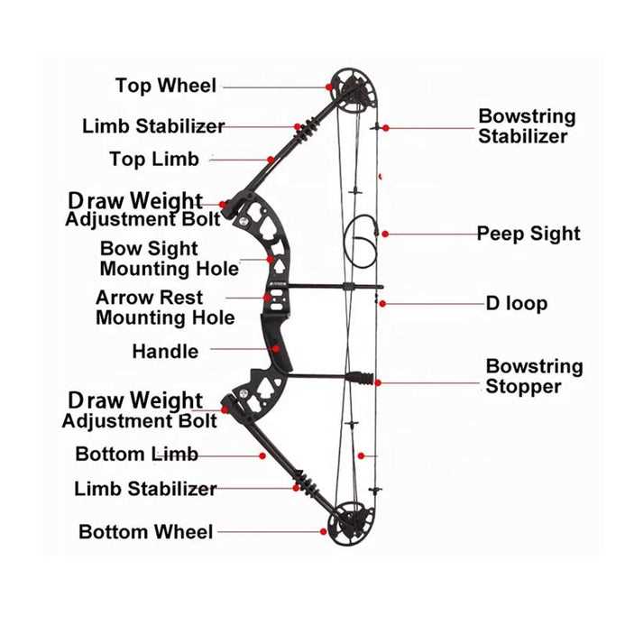 bow and arrow parts diagram