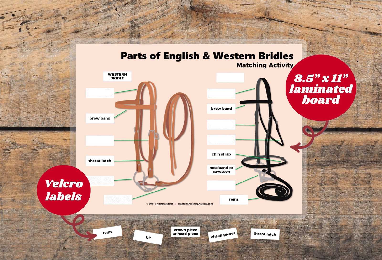 bridle parts diagram