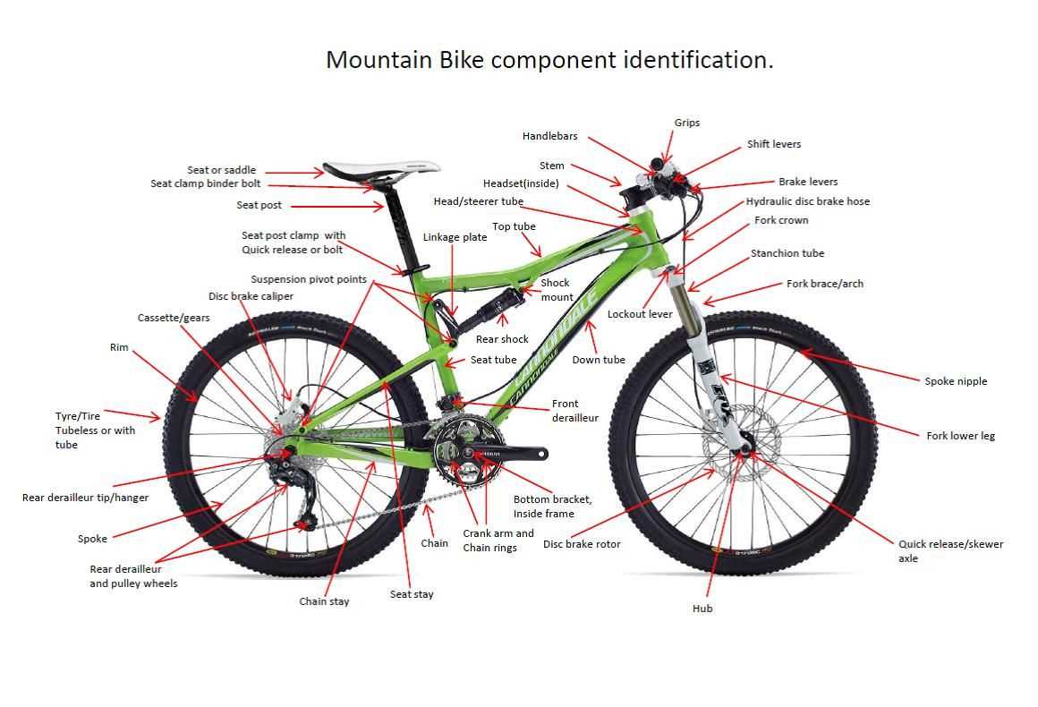 diagram of mountain bike parts