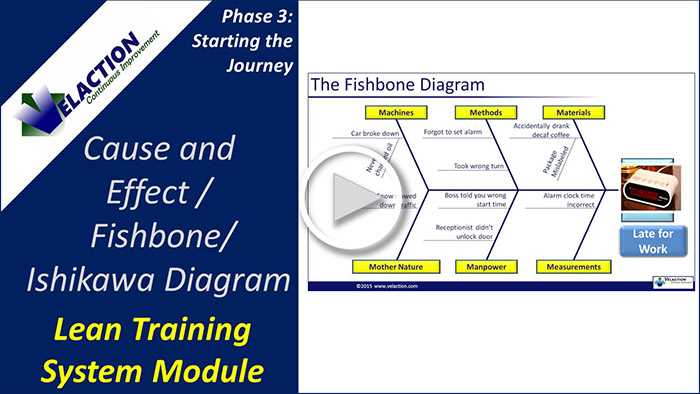 cause and effect diagrams are also known as part 2