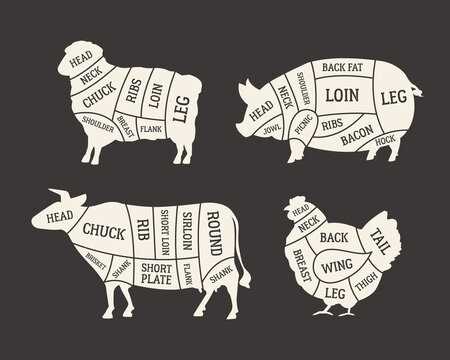 chicken meat parts diagram