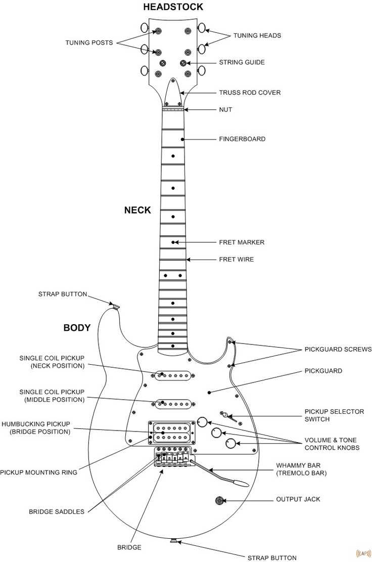 classical guitar parts diagram