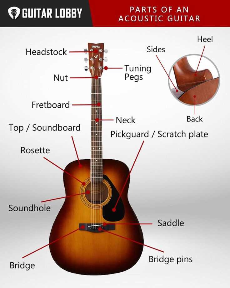 classical guitar parts diagram