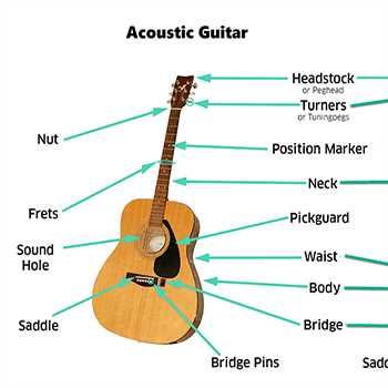 classical guitar parts diagram