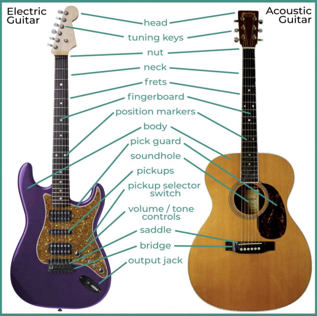 classical guitar parts diagram