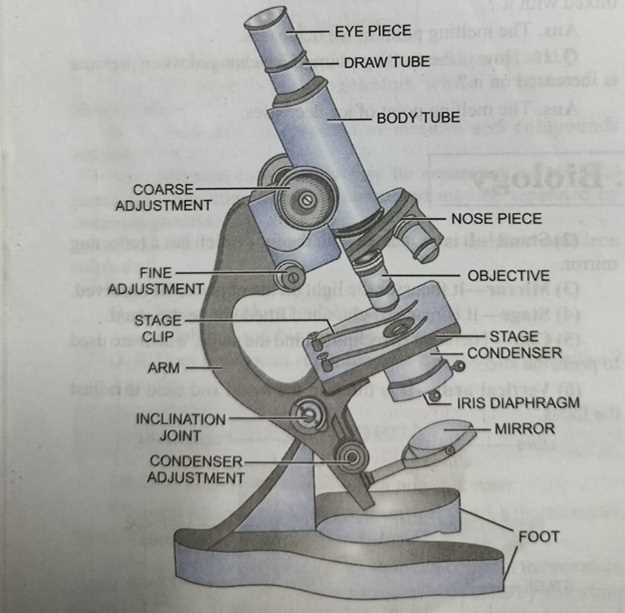 compound microscope parts diagram