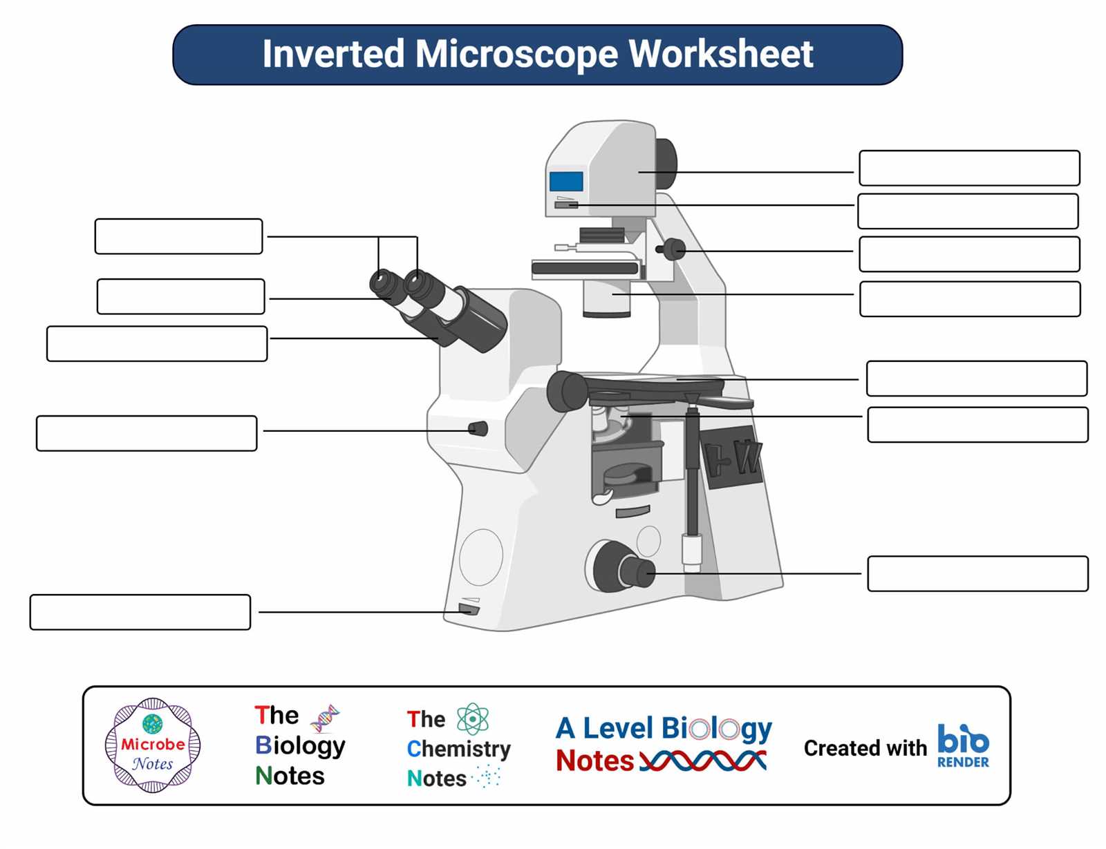 compound microscope parts diagram