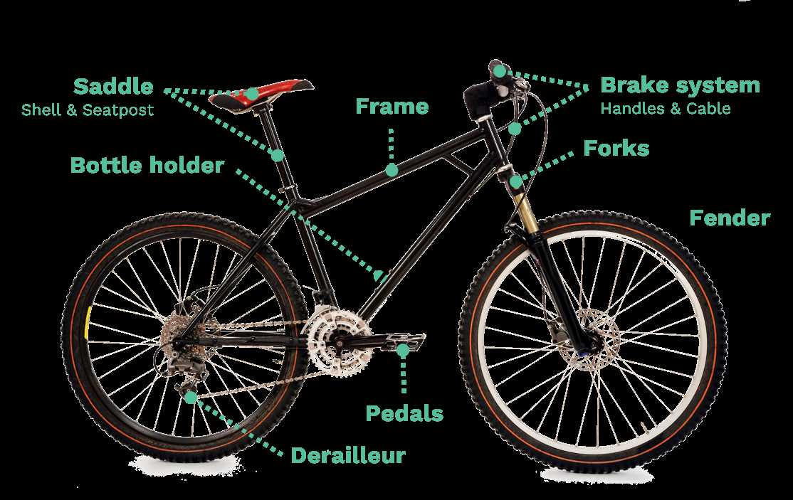 parts of a mountain bike diagram