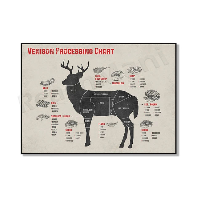 deer meat parts diagram