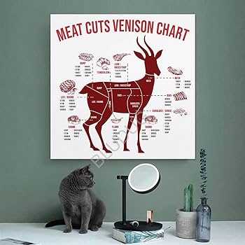 deer meat parts diagram