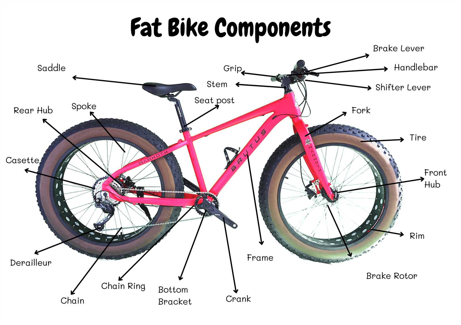 diagram of bike parts