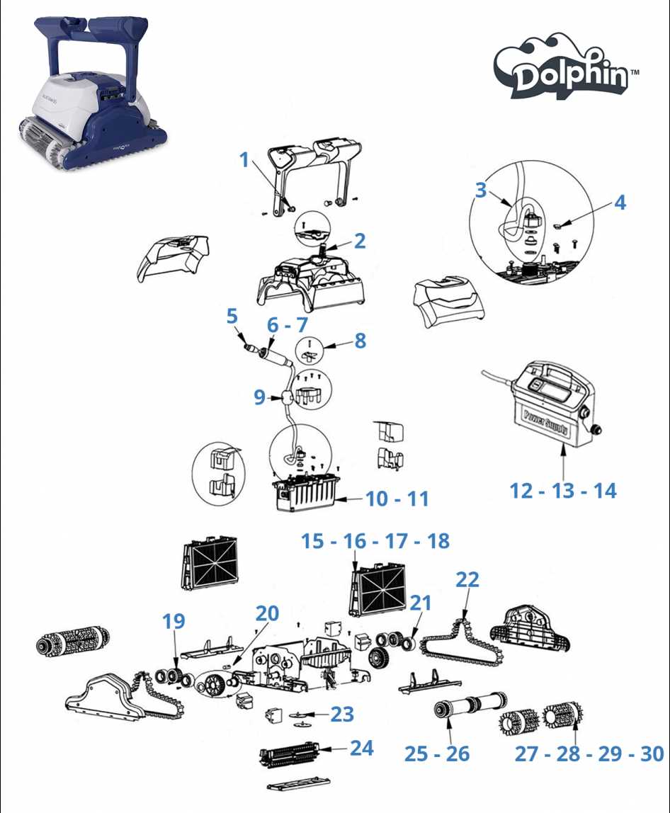 parts of a dolphin diagram