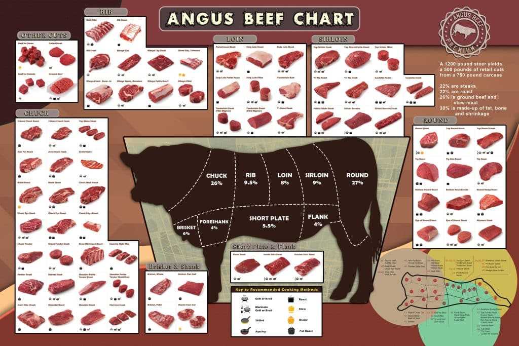 parts of beef diagram