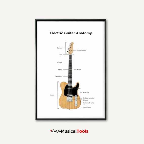 electric bass parts diagram