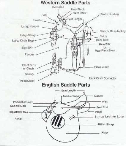 english saddle parts diagram