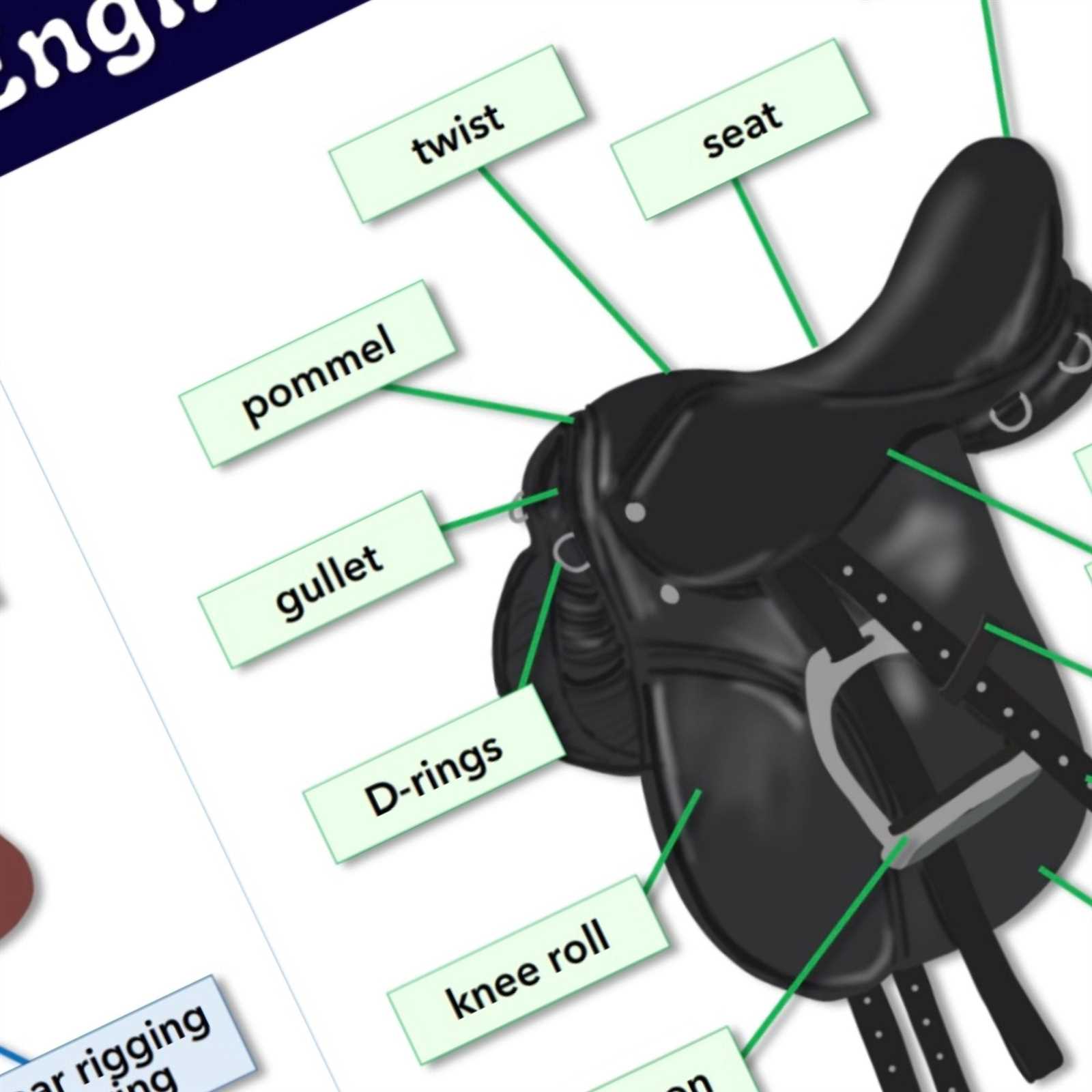 english saddle parts diagram