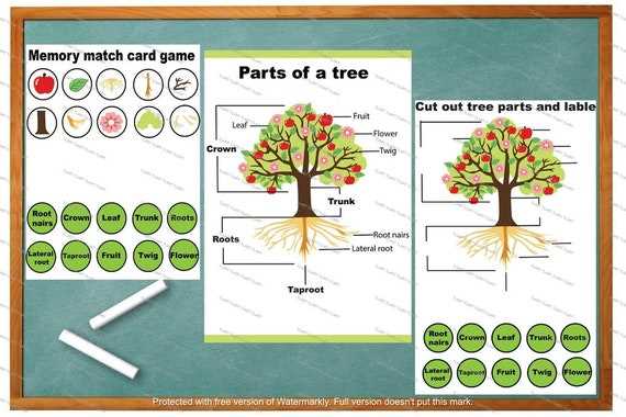 tree diagram parts