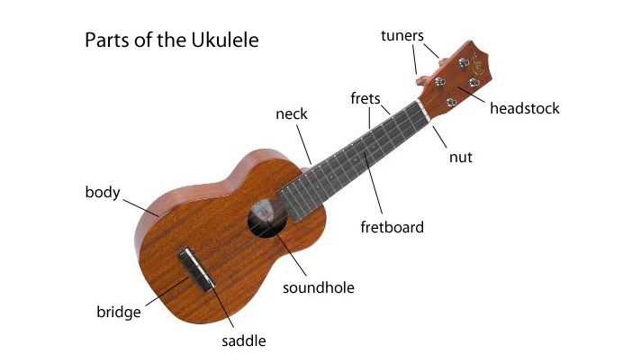 ukulele parts diagram