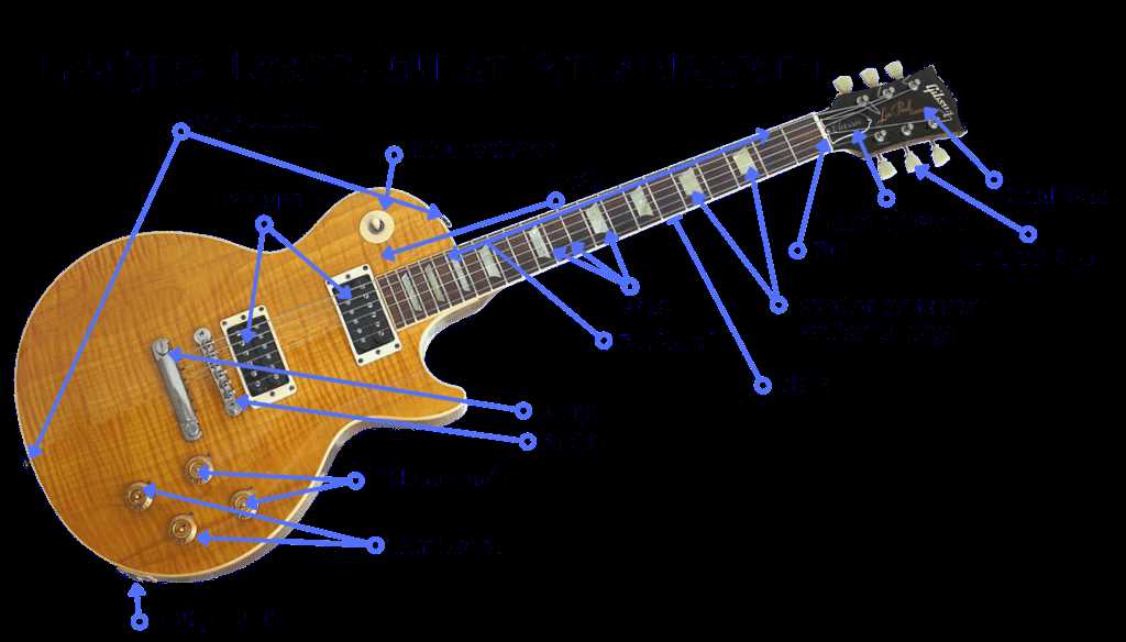 fender stratocaster parts diagram