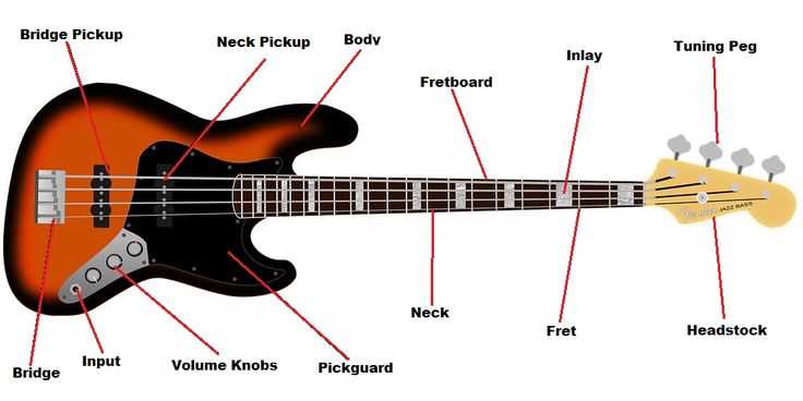 fender stratocaster parts diagram