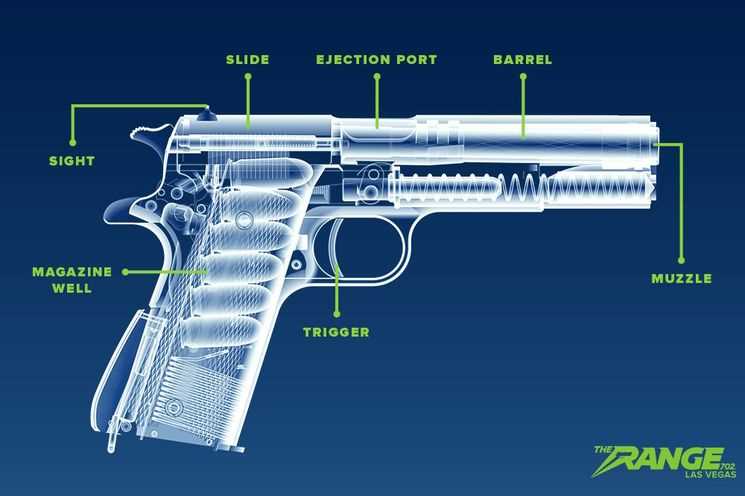 firearm parts diagram