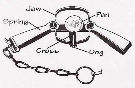 nv3550 parts diagram