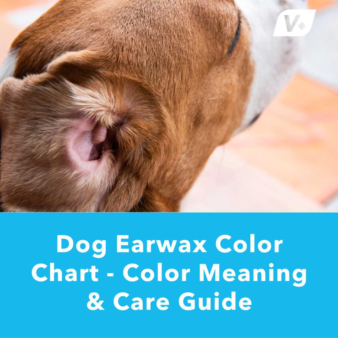 dog ear parts diagram