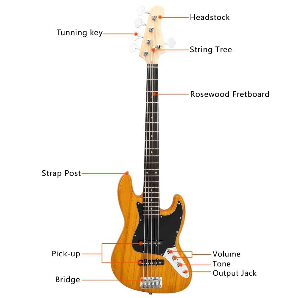 electric bass parts diagram