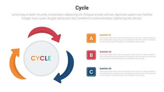 3 part cycle diagram template