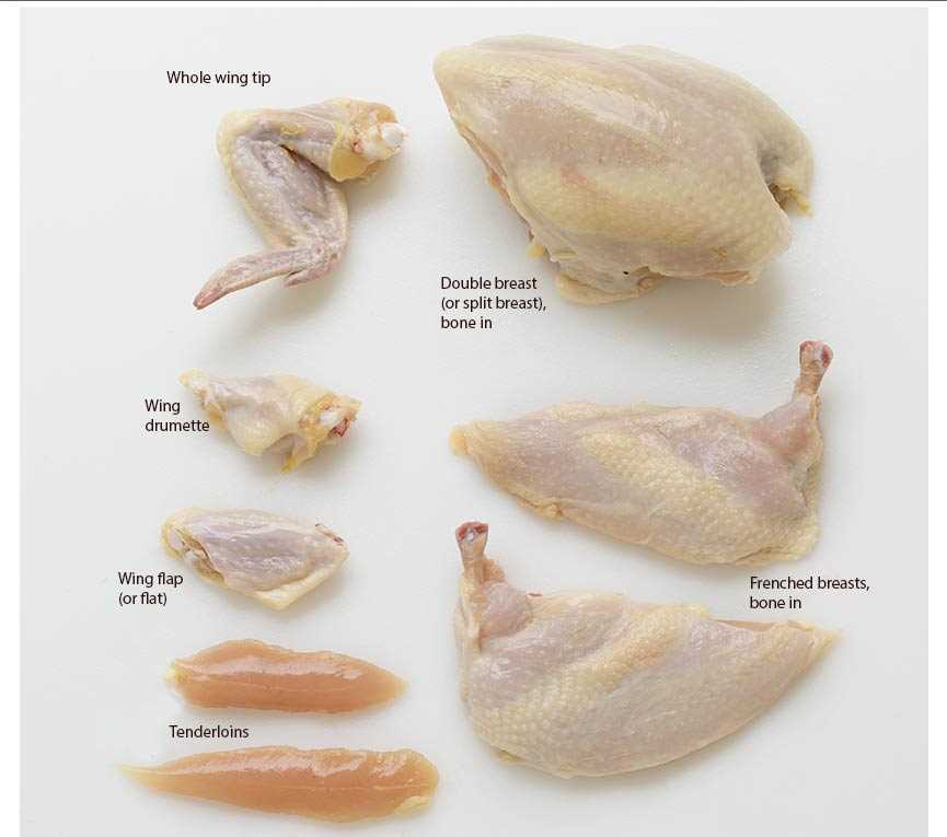 chicken meat parts diagram