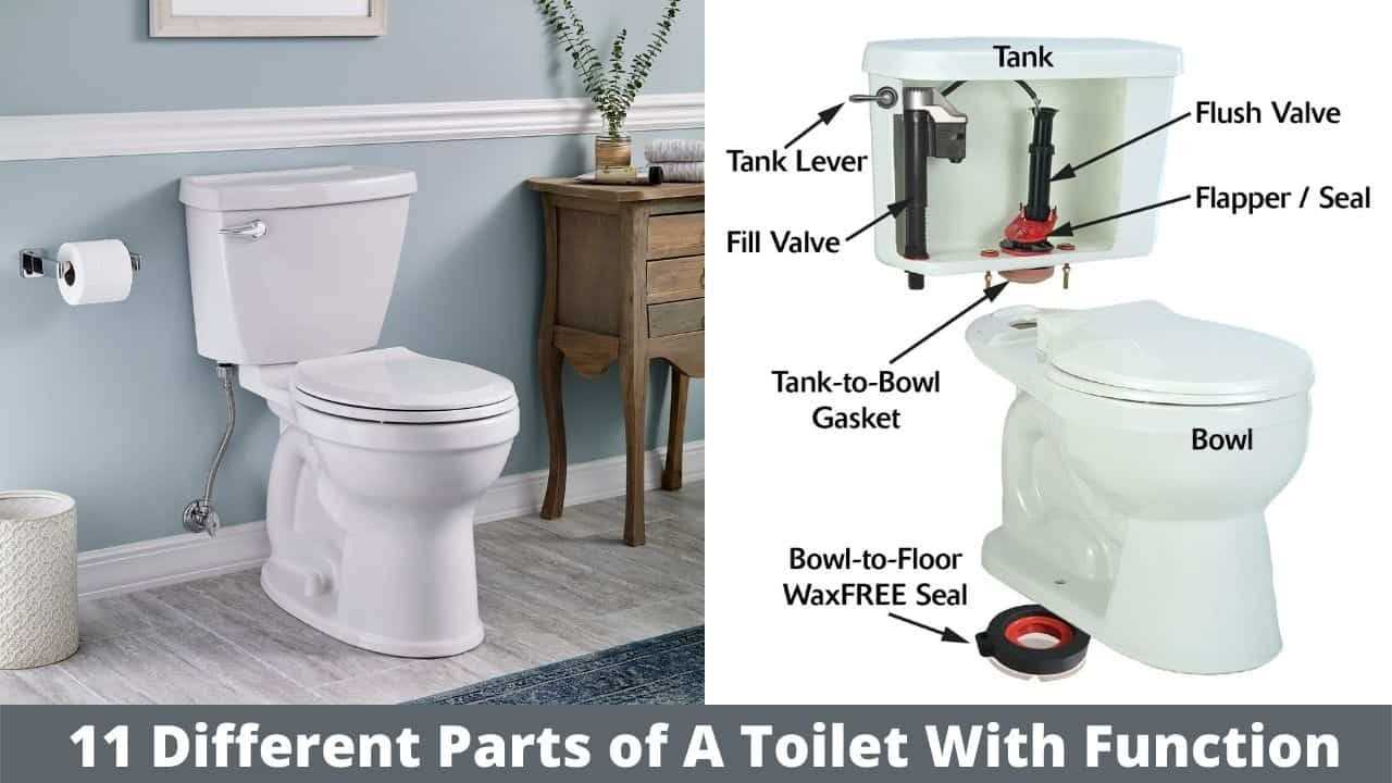 parts of a toilet bowl diagram