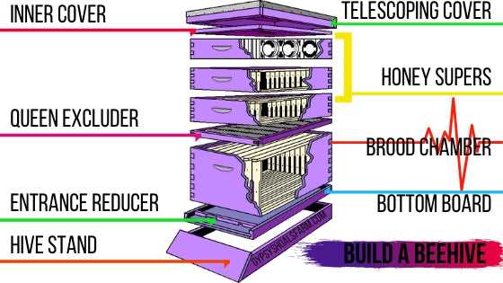 bee hive parts diagram