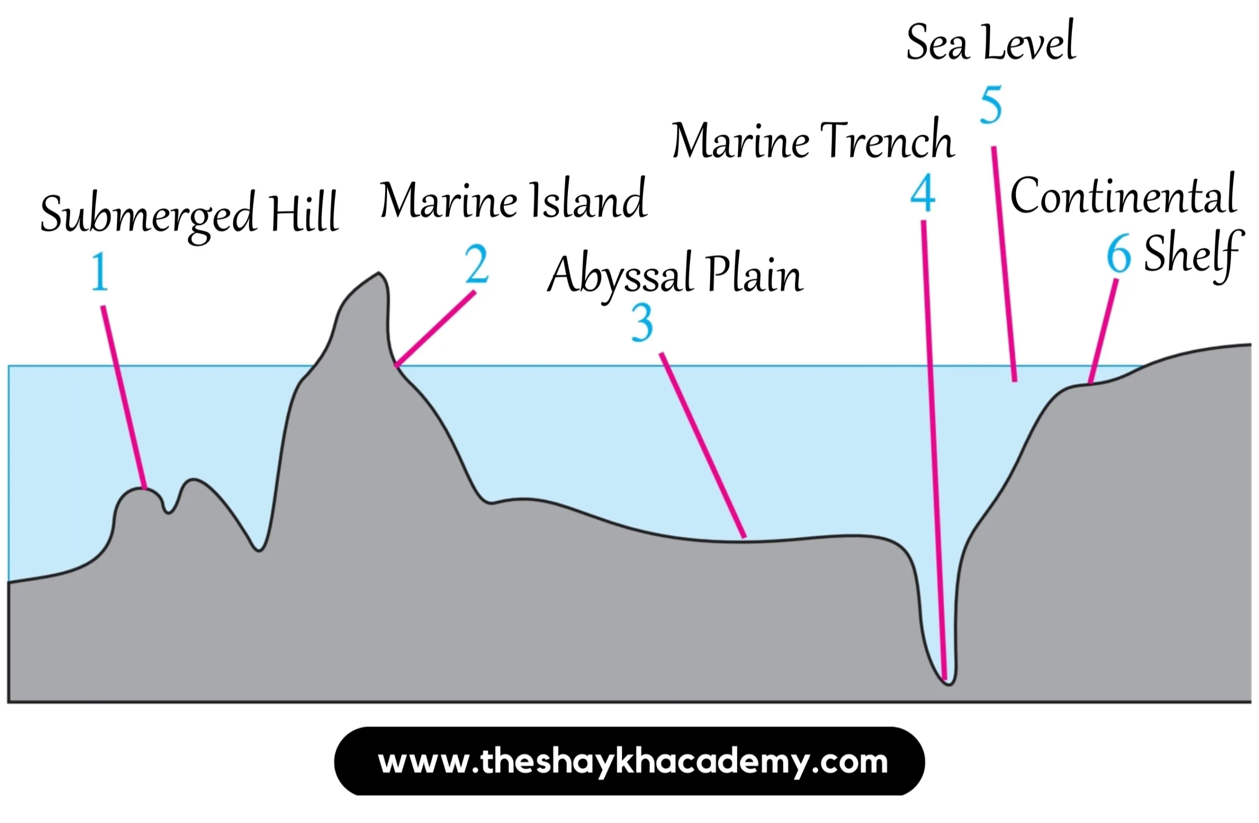 parts of the ocean floor diagram