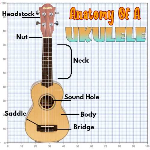 ukulele parts diagram