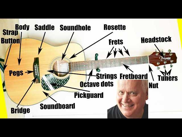 guitar bridge parts diagram