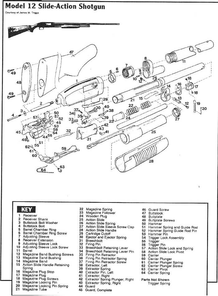 winchester model 12 parts diagram