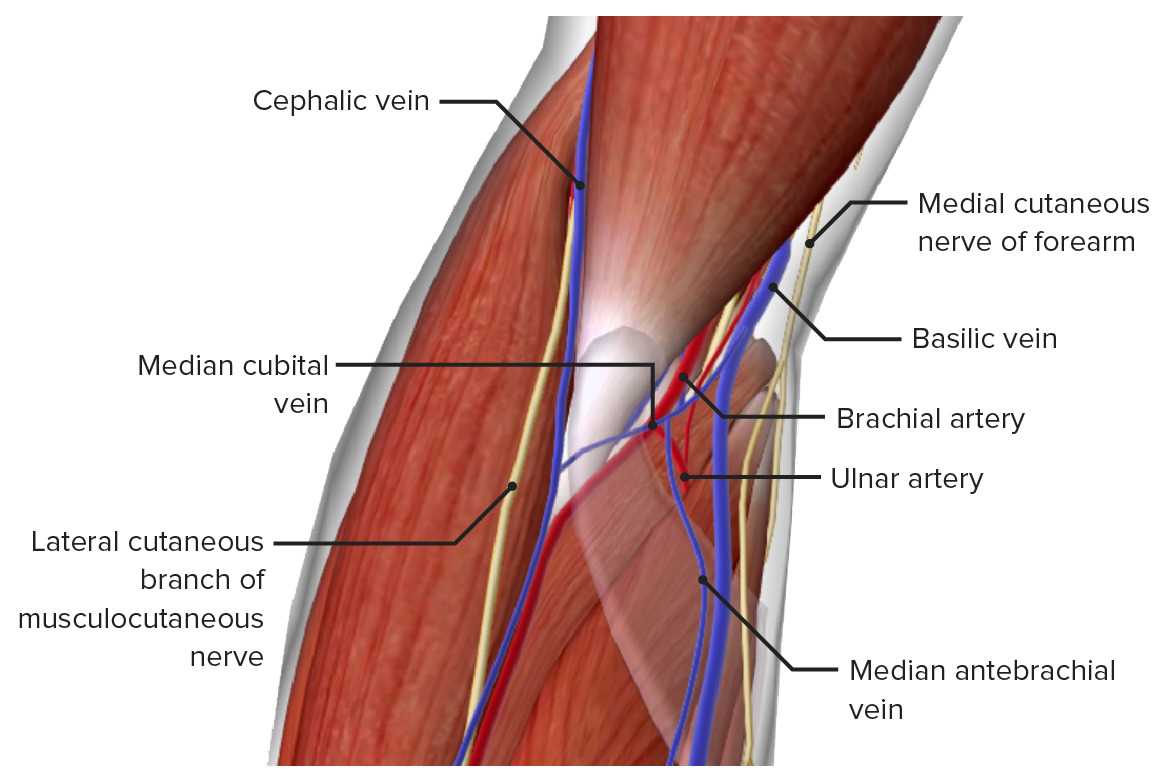 elbow parts diagram