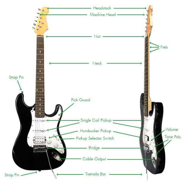 electric guitar diagram parts