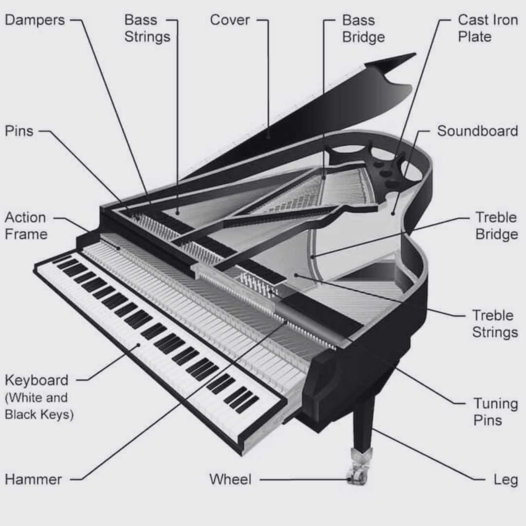 grand piano parts diagram