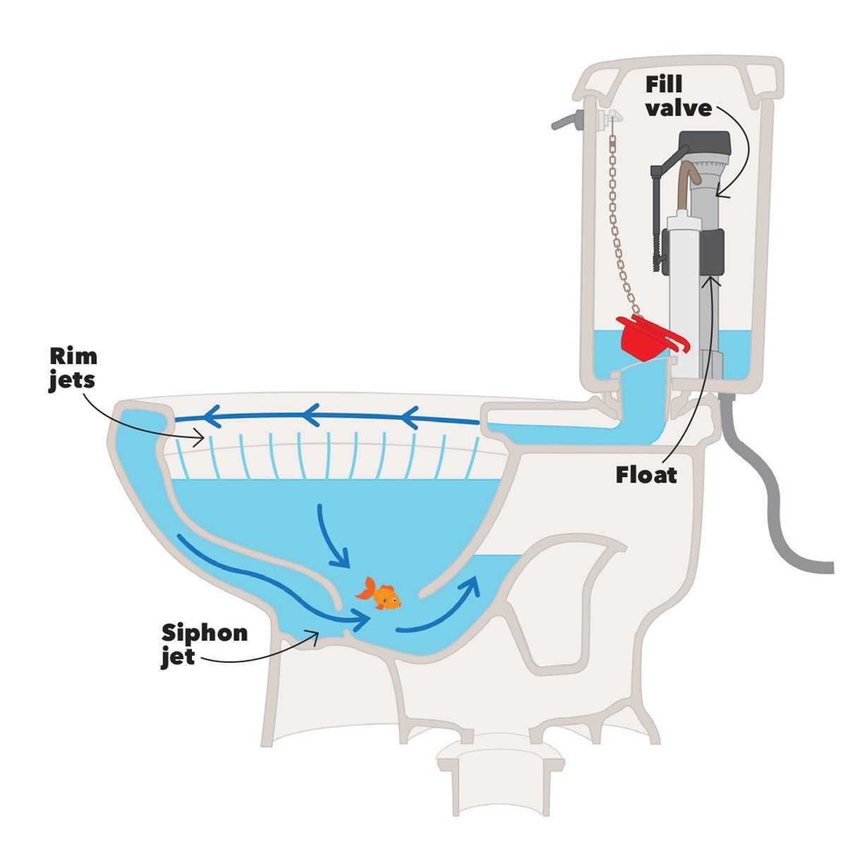 parts of a toilet bowl diagram