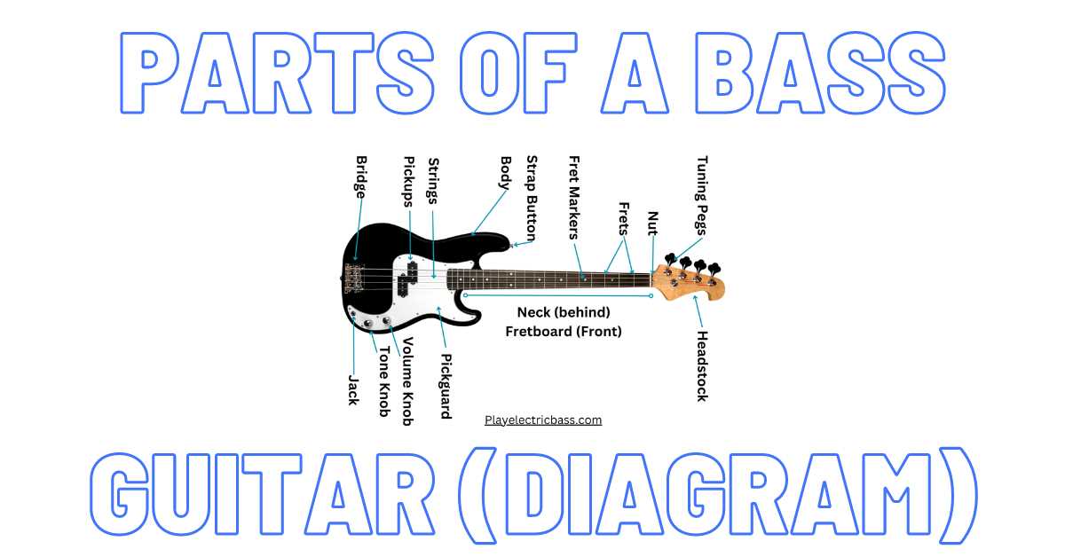 guitar bridge parts diagram