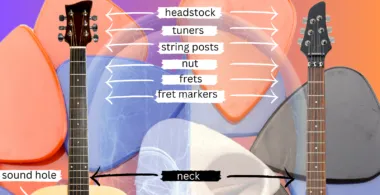 acoustic guitar parts diagram