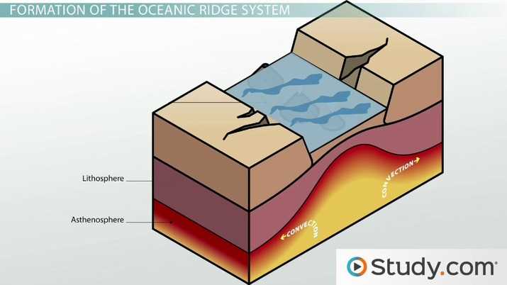 parts of the ocean floor diagram