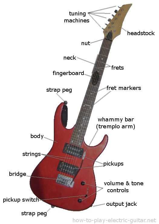 classical guitar parts diagram