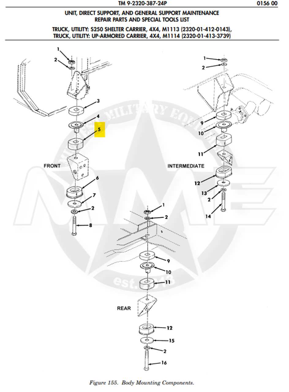 upper body parts diagram