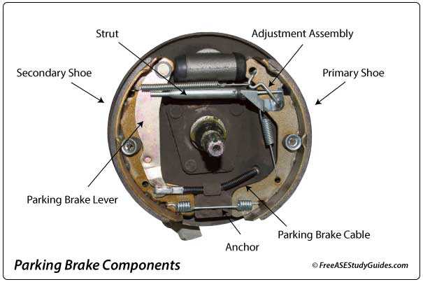 rear drum brake parts diagram