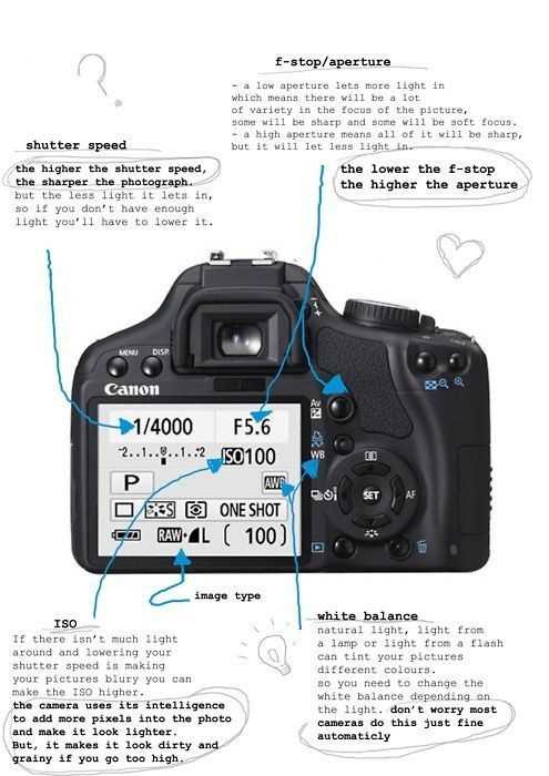 canon 6d parts diagram