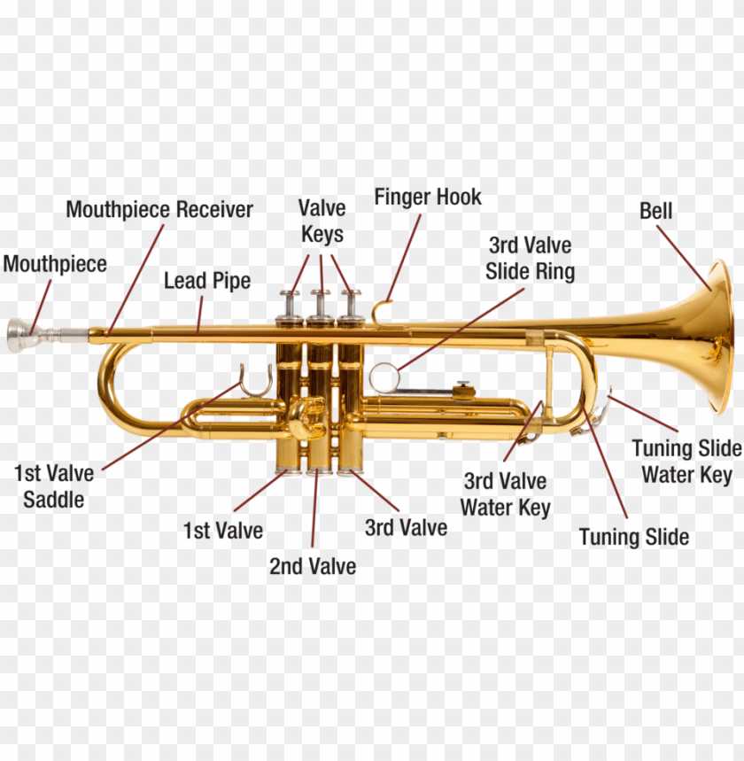 french horn parts diagram